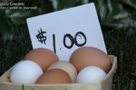 Farm Fresh Eggs