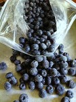Freezing Blueberries