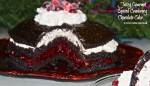 Spiced Cranberry Chocolate Cake
