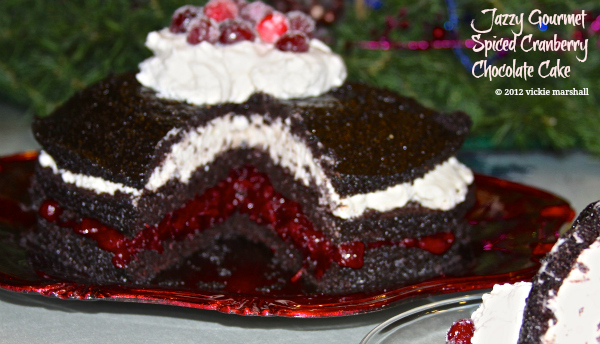 Spiced Cranberry Chocolate Cake by Jazzy Gourmet